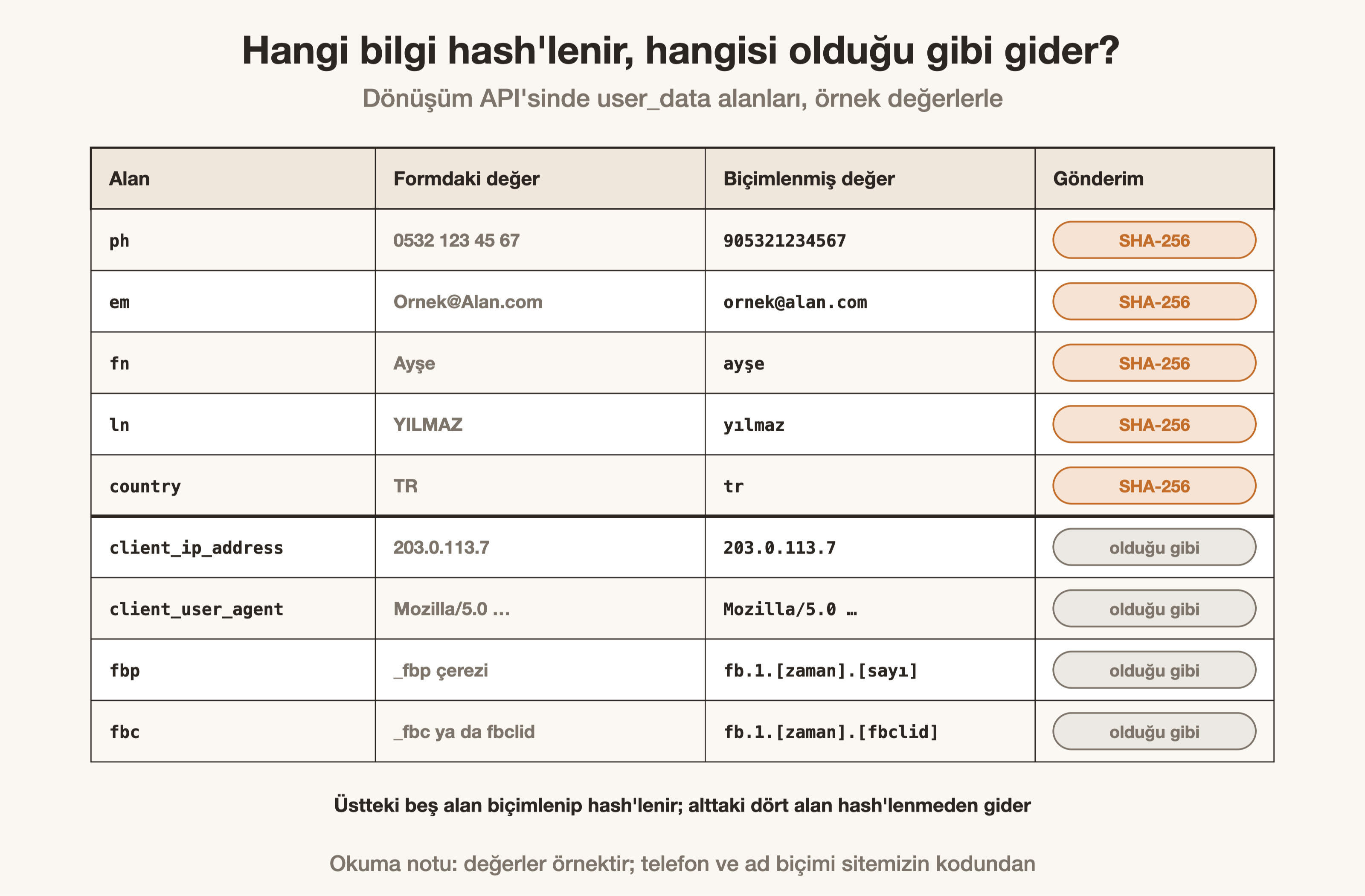 Dönüşüm API'sinde müşteri bilgileri: hangi alan biçimlenip hash'lenir, hangisi olduğu gibi gider.